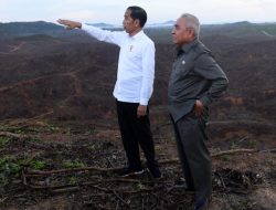 Konsep Smart Forest City, Jokowi: Pembangunan IKN Tak Akan Babat Hutan