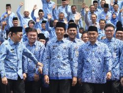 Presiden Jokowi Sebut 6 Lembaga Akan Dipindahkan ke IKN Nusantara