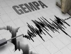 Gempa Berkekuatan 6,2 Magnitudo Guncang Maluku Barat Daya