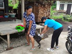 Sejumlah Desa di Kabupaten Jembrana Masuk Zona Merah Kasus Rabies