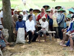 Apdesi Nobatkan Jokowi Sebagai Bapak Pembangunan Desa