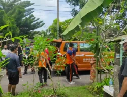 6 Tahun Menghilang, WNA Spanyol Ditemukan Tinggal Tulang Belulang di Denpasar