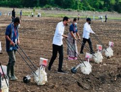 Jokowi Dorong Pemanfaatan Teknologi Pertanian untuk Petani di NTT