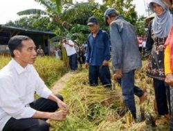 Jokowi: Saya akan Tambah Anggaran Dana Desa, Tapi Tuhan Belum Izinkan