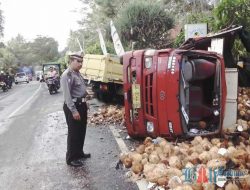 LAGI ! Harley Cium Truk Diesel di Jalur Tengkorak Sampai Ringsek