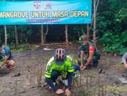 Dandim 1619 dan Kapores Tabanan Tanam Pohon Mangrove di Pantai Kelucung