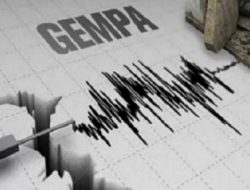 Berkekuatan 5,0 Magnitudo, Gempa Guncang Halmahera Selatan