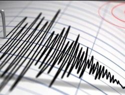 Gempa M 6,2 Guncang Jember Terasa hingga Kuta, Ini Kata BMKG