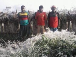 Dari Embun Beku Hingga Hujan Es, Cuaca Ekstrem di Lanny Jaya Papua Jadi Penyebab Gagal Panen