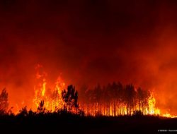 Dilanda Gelombang Panas, 10.000 Warga di Prancis Mengungsi Akibat Kebakaran Hutan