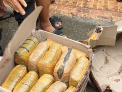 Ganja Seberat 37 Kg Berserakan di Jalan Bikin Warga Deli Serdang Geger