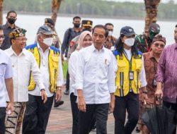 Presiden Joko Widodo Tinjau Kawasan Mangrove di Denpasar Jelang KTT G20