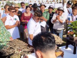 Dandim 1611/Badung Dampingi Walikota Denpasar Buka Kontes dan Pameran Bonsai Nasional ‘The Max 30 CM 2022’