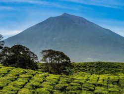 Bibir Kawah Gunung Kerinci Retak hingga 4 Meter Akibat Erupsi