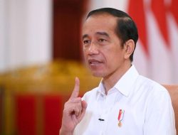 Kunker ke Jatim, Presiden Jokowi Menanam Padi di Tuban dan Berdialog Bersama Para Petani