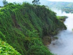 Waspada! Luncuran Gas Beracun Kawah Timbang di Gunung Dieng Capai Jarak 150 Meter