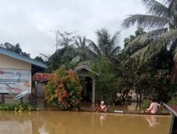 Banjir di Kapuas Hulu, 4 Kecamatan Terendam hingga 1,5 Meter