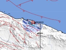 BMKG Sebut Gempa di Jayapura Termasuk Fenomena ‘Black Swan Earthquakes’ yang Langka Terjadi