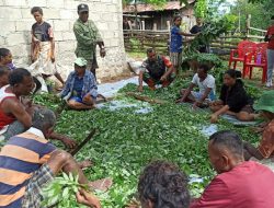 Buat Pupuk Bokashi, Babinsa Umaklaran Dukung Pengembangan Pertanian Cerdas Iklim