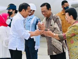 Kunker di Jateng, Jokowi Pantau Panen Raya Padi di Kebumen