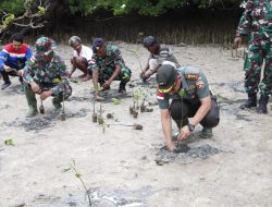 Cegah Abrasi, Kodim Belu Tanam Ratusan Pohon Mangrove di Pesisir Pantai Atapupu