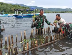 TNI Tanam 1.400 Bibit Mangrove di Pantai Desa Pemuteran