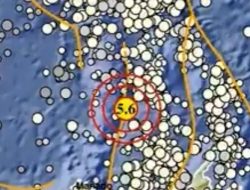 Kepulauan Sangihe Sulut Diguncang Gempa M5,6 Pagi Ini, BMKG: Tak Berpotensi Tsunami