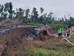 Ayah dan Anak di Riau Dicokok Polisi Gegara Bakar Lahan 5 Hektare untuk Perkebunan