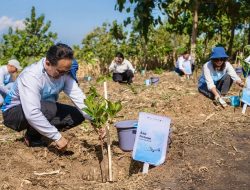 Pelita Air bersama Pertamina Tanam 10 Ribu Pohon di Jawa Timur