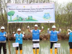 Komitmen Hijau PT PLN IP UBP Banten 3 Lontar dan PLN EPI Tanam Pohon