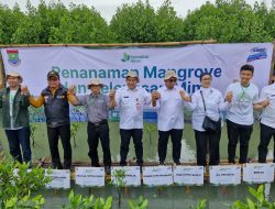 Pemkab Tangerang Gelar Tanam Mangrove dan Tebar Mimi di Ketapang Urban Aquacultur