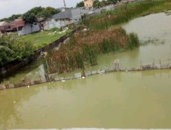 Banjir Mengancam, Warga Gelam Jaya Resah Rencana Pembangunan Sekolah di Atas Danau Penampungan Air