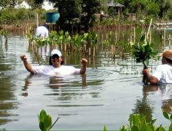 Mitigasi Bencana Pesisir Tangerang Utara, Ratusan Aktivis Tanam Ribuan Mangrove di Tanjung Pasir