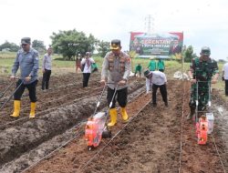 Asta Cita Presiden Prabowo, Kapolres Metro Tangerang Pimpin Penanaman Jagung di Sepatan