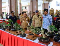 Ratusan Bonsai Meriahkan Rangkaian HUT Kota Tangerang, Dr. Nurdin: Bonsai Bukan Sekadar Seni, Tapi Juga Peluang Ekonomi