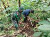 Peduli Lingkungan Hidup Kodim 1617/Jembrana Gelar Program Penanaman Pohon